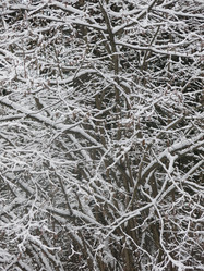 Similar image 21255379