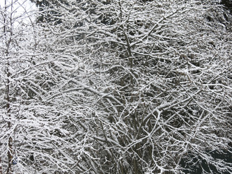 Similar image 21255380