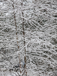 Similar image 21255381