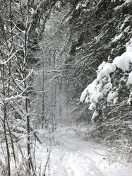 Similar image 21255382