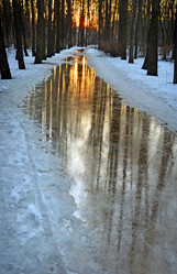 Similar image 21251527