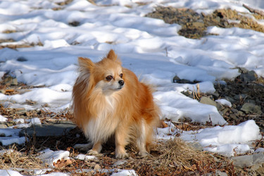 Similar image 21249461