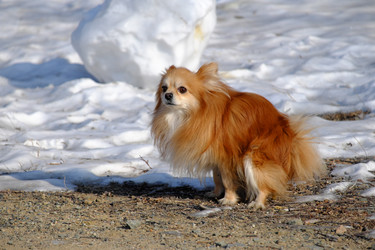 Similar image 21249463