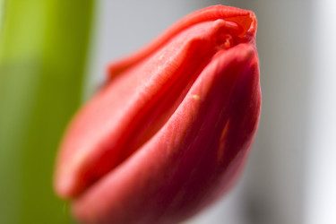 Similar image 21249337