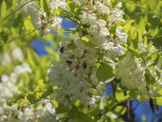 Similar image 21251956