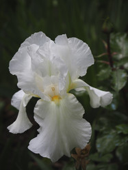 Similar image 21251957