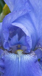 Similar image 21251958