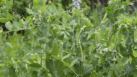 Similar image 21251962