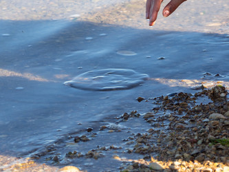 Similar image 21251966