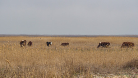 Similar image 21251969