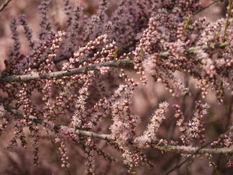 Similar image 21251970