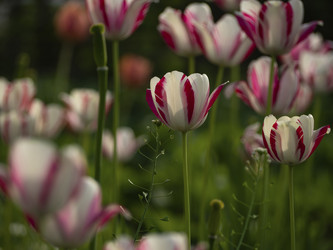 Similar image 21251971