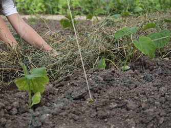 Similar image 21251972