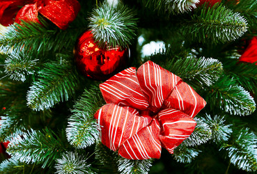 Similar image 21249563