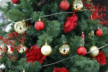 Similar image 21249567