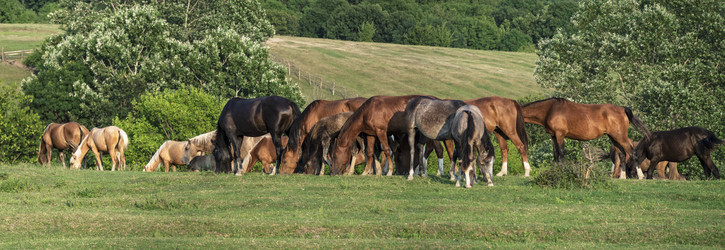 Similar image 21255204