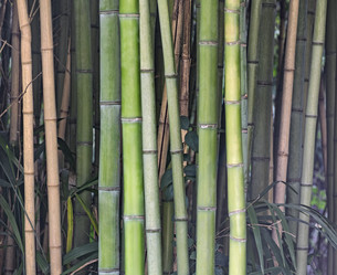 Similar image 21255256