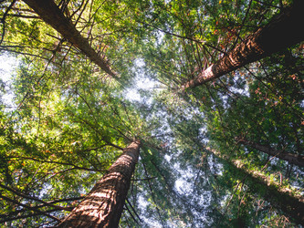 Similar image 21257462