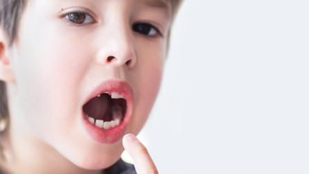 Similar image 21257473