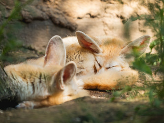 Similar image 21257478