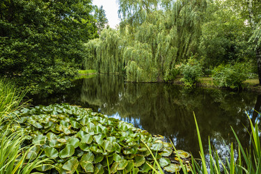 Similar image 21254233