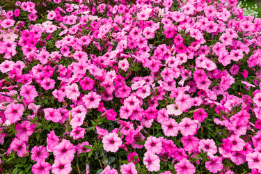 Similar image 21254234