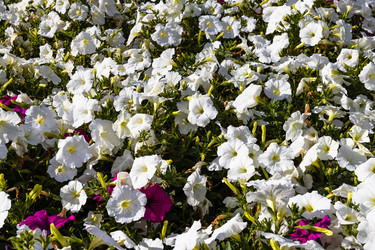 Similar image 21254237