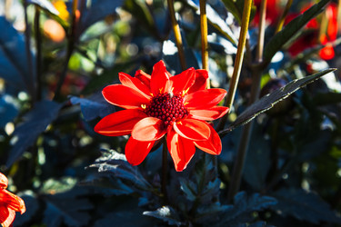 Similar image 21254239