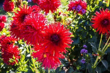 Similar image 21254241