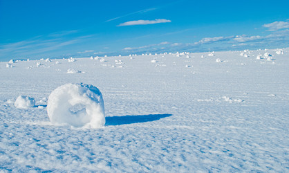 Similar image 21258704