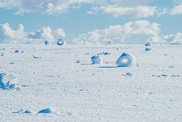 Similar image 21258707