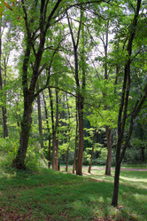 Similar image 21251538