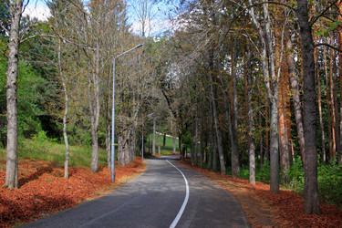 Similar image 21251539