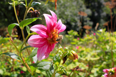 Similar image 21251541