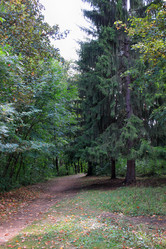 Similar image 21251542