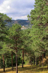 Similar image 21251544