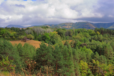 Similar image 21253024