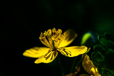 Similar image 21253606