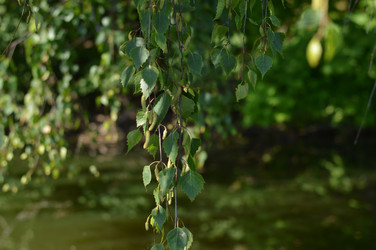 Similar image 21251549