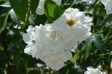 Similar image 21251550