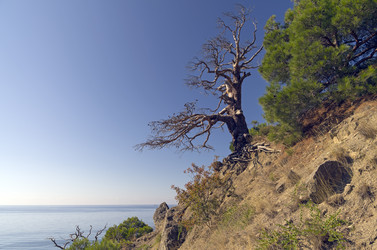 Similar image 21251555