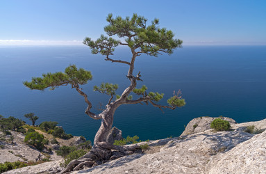 Similar image 21251556