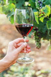 Similar image 21253337