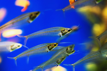 Similar image 21253339