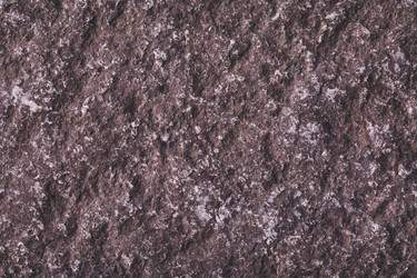 Similar image 21253340