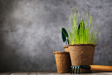 Similar image 21253344