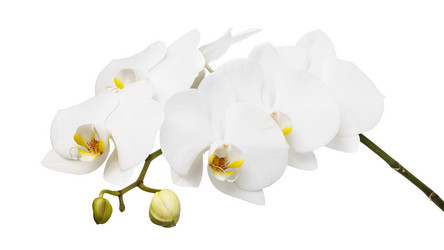 Similar image 21253363