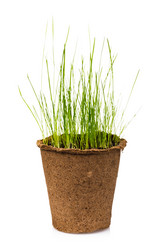 Similar image 21253375