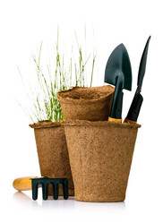 Similar image 21253376