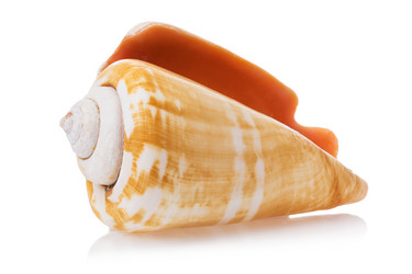 Similar image 21253399